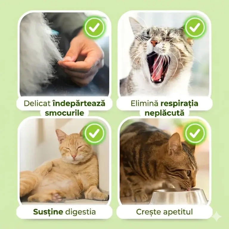 Merchis - Bețișoare naturale de catnip pentru dinți sănătoși și îndepărtarea ghemotoacelor de păr