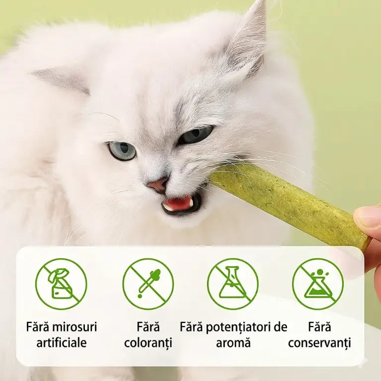 Merchis - Bețișoare naturale de catnip pentru dinți sănătoși și îndepărtarea ghemotoacelor de păr